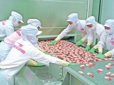 Lợi nhuận trước thuế 6 tháng của MPC ước đạt xấp xỉ kế hoạch cả năm là 487 tỷ đồng
