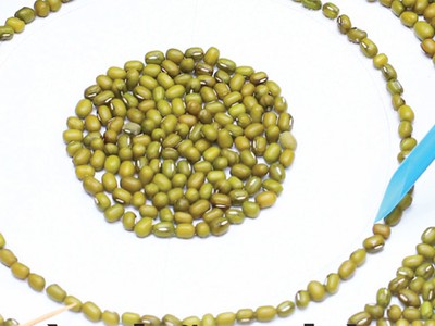 Nghệ thuật làm báo cáo từ những bàn tay khéo léo