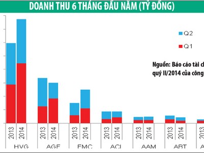 6 tháng, doanh nghiệp thủy sản lãi lớn