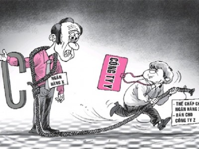 CTCP Vật tư Nông nghiệp II Đà Nẵng: Mập mờ khi bán tài sản