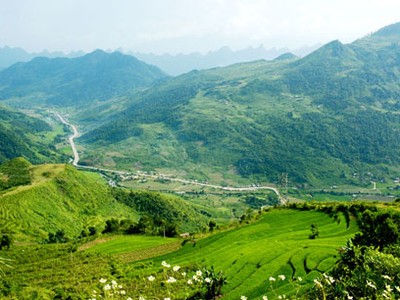 Tổ chức Hội chợ Nông nghiệp và thương mại vùng Đông Bắc