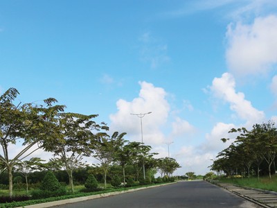 Nàng công chúa đang được đánh thức