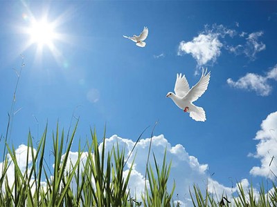 Đón nắng Xuân về!