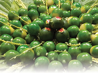 Nghĩ ở 18 thôn Vườn Trầu…