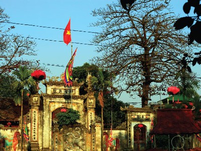 Linh hồn làng Việt