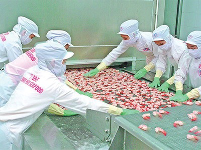 MPC đạt EPS trên 10.000 đồng