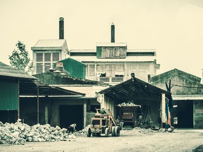 Nhà máy xi măng Thái Bình