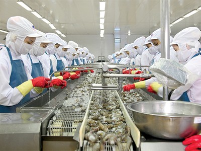 Theo MPC, việc thanh toán cước vận tải bằng VND gây bất lợi khi vào thị trường Mỹ