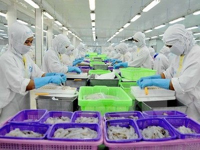 Ngành thủy sản của Việt Nam sẽ được lợi từ việc bãi bỏ thuế nhập khẩu một số mặt hàng