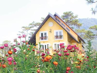 Đời yêu đương