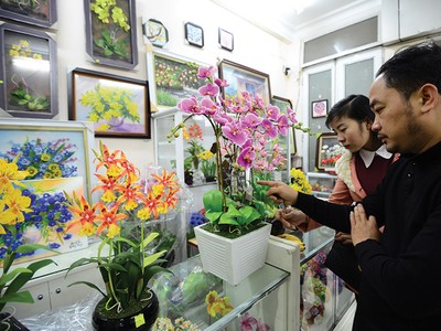 Hoa đất - thú chơi độc đáo ngày Tết