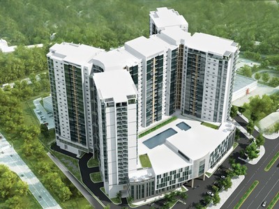 CDC dự kiến cổ tức 10%