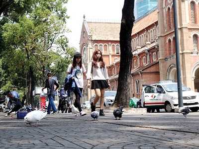 Mảnh đất biết níu người