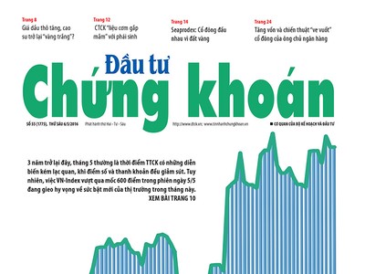Đầu tư Chứng khoán số 55