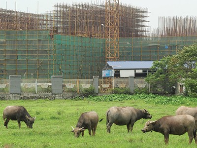 Các chủ đầu tư yếu năng lực tài chính sẽ gặp khó khăn khi Thông tư 06/2016 có hiệu lực. Ảnh: Dũng Minh
