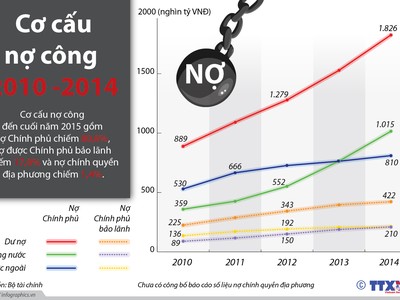[infoGraphics] Cơ cấu nợ công của Việt Nam tính đến cuối năm 2015 