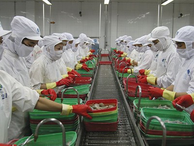 Minh Phú đã được “minh oan”, không bán phá giá tôm