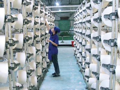 Việc cổ đông lớn - Tổng CTCP Phong Phú ấn định việc sáp nhập công ty con PHH đã gây bức xúc cho cổ đông nhỏ doanh nghiệp này