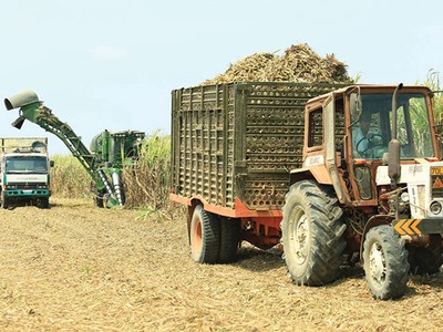 SCIC chào bán cổ phần Mía đường Thanh Hóa với giá khởi điểm 632.000 đồng/CP