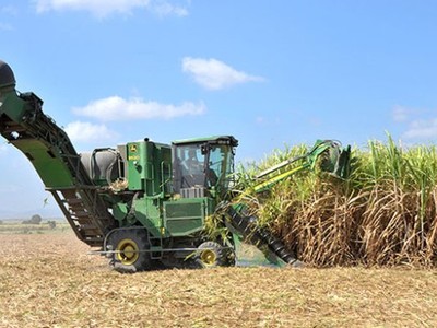 Nghiên cứu giống mía, trồng mía công nghệ cao, thu hoạch bằng cơ giới hóa đang là một trong những mục tiêu mà Khu Nông nghiệp ứng dụng công nghệ cao Phú Yên hướng tới.
