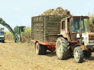 Ngày 3/11, SCIC sẽ bán đấu giá hơn 28 ngàn cổ phiếu Mía đường Thanh Hóa, tương đương 28,43% vốn điều lệ, với giá khởi điểm 569.000 đồng/CP (mệnh giá 100.000 đồng/CP)
