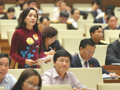 Đại biểu Quốc hội đề xuất tổng kết, đánh giá ngay chính sách tích tụ ruộng đất