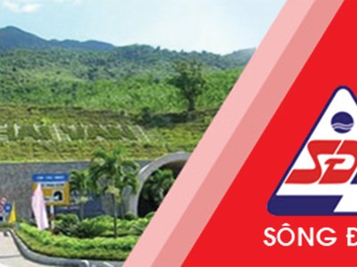 SDT ước lãi hơn 100 tỷ đồng năm 2016