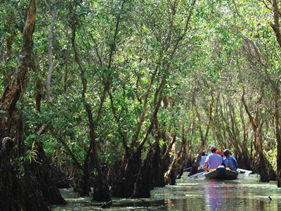 Du Xuân trên hành trình sông nước miền Tây