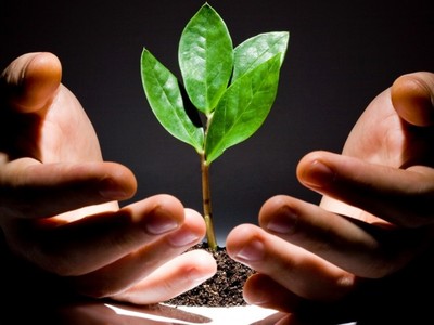 Cơ hội đầu tư vào cổ phiếu ngành nông nghiệp