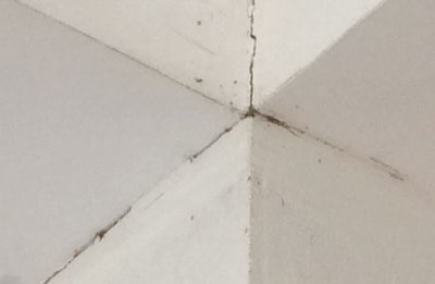 Những vết nứt tại căn hộ của Chung cư giá rẻ Đặng Xá