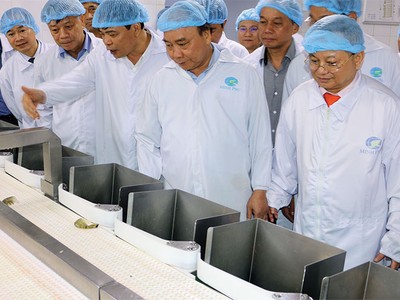 Thủ tướng Chính phủ Nguyễn Xuân Phúc thăm nhà máy chế biến tôm của Tập đoàn Minh Phú