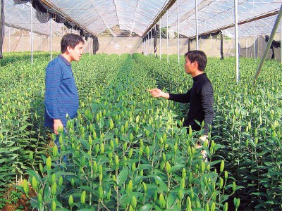 Nông nghiệp công nghệ cao, nghe nói thế chứ biết “rau nào là sạch, là bẩn“