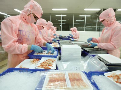 Các chuyên gia kinh tế nói gì về “kế hoạch B” thay thế TPP cho Việt Nam?