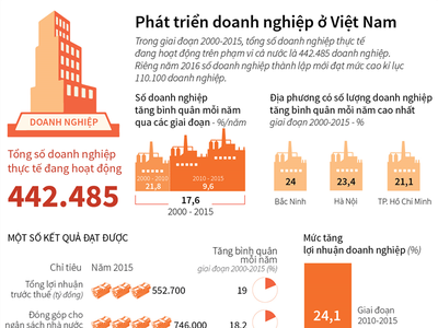[Infographic] Phát triển doanh nghiệp ở Việt Nam 