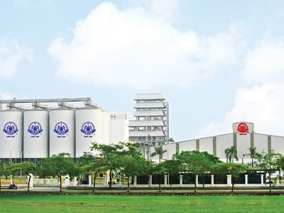 Halico là một trong nhiều doanh nghiệp lớn chưa đưa cổ phiếu lên sàn