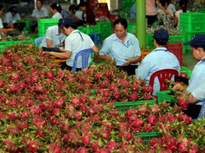 Giải cứu nông sản, Bộ trưởng Nông nghiệp sẽ nói gì?