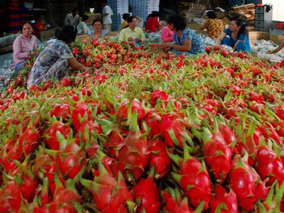 Đại biểu Quốc hội: Không thể mãi đòi hỏi người tiêu dùng thông minh