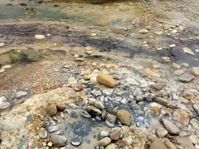 Dòng suối hoang tàn đang chờ ngày hồi sinh