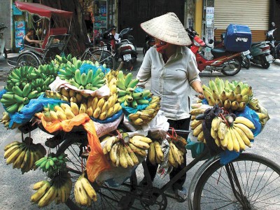 Khoảng cách thu nhập giữa nhóm giàu nhất và nhóm nghèo nhất ở Việt Nam hiện rất lớn. Trong ảnh: Bán hàng rong ở Hà Nội. Ảnh: Đức Thanh