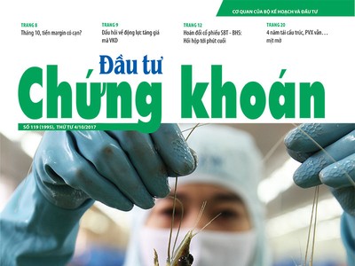 Đầu tư Chứng khoán số 119/2017