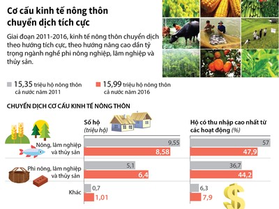 [Infographic] Cơ cấu kinh tế nông thôn chuyển dịch tích cực