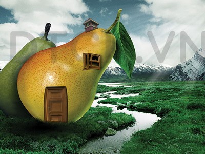 Nhà không cửa sổ