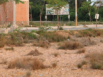 Dự thảo quy định mới về tách thửa của TP.HCM được đánh giá sẽ giúp cho thị trường đất nền TP.HCM phát triển bền vững. Ảnh: Việt Dũng