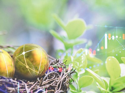 Chứng khoán xanh đã bắt đầu “nảy mầm”