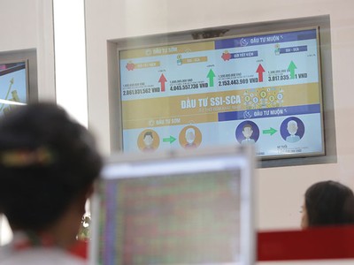 Nhiều quỹ đầu tư thắng lớn nhờ cách chọn danh mục