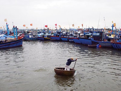 Các nhà bảo hiểm đã khẩn trương phối hợp cùng khách hàng khắc phục thiệt hại do cơn bão số 12 gây ra, nhanh chóng ổn định đời sống và sản xuất - kinh doanh 