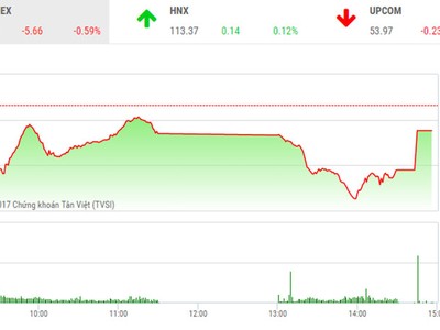 Phiên chiều 6/12: Hoảng hồn