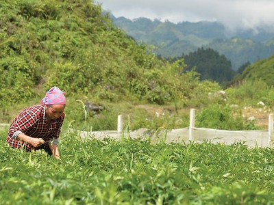 Kỷ nguyên của phát triển bền vững