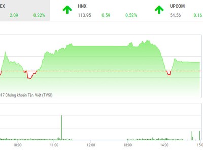 Phiên chiều 20/12: VNM hụt chân, VN-Index đuối sức