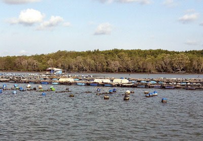 TP. HCM duyệt quy hoạch Khu đô thị Cần Giờ